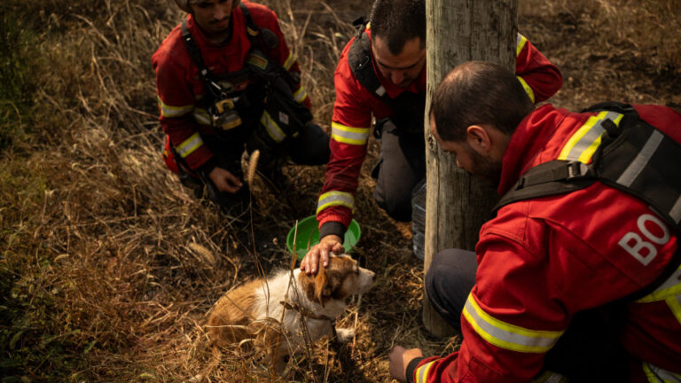 PORTUGAL: DECRETADA SITUAÇÃO DE CALAMIDADE