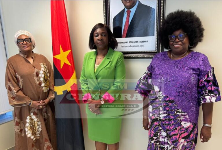 REPRESENTANTE DO FÓRUM INTERNACIONAL DE MULHERES EMPREENDEDORAS E DINÂMICAS (FIED) EM ANGOLA RECEBIDA EM AUDIÊNCIA PELA SECRETÁRIA DE ESTADO PARA FAMÍLIA E PROMOÇÃO DA MULHER