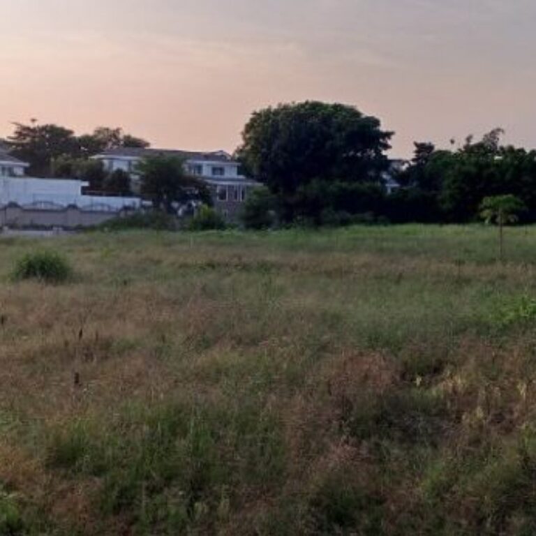 Invasores aproveitam-se do erro técnico do tribunal de Belas e ocupam terreno nobre no Talatona, proprietário mostra resistência