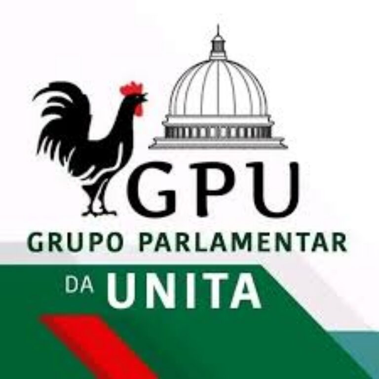 UNITA garante manifestação contra presidente da CNE