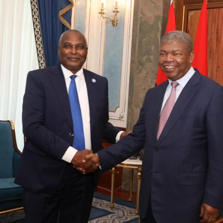 Delegação do PRA-JA Servir Angola recebido pelo Presidente da República